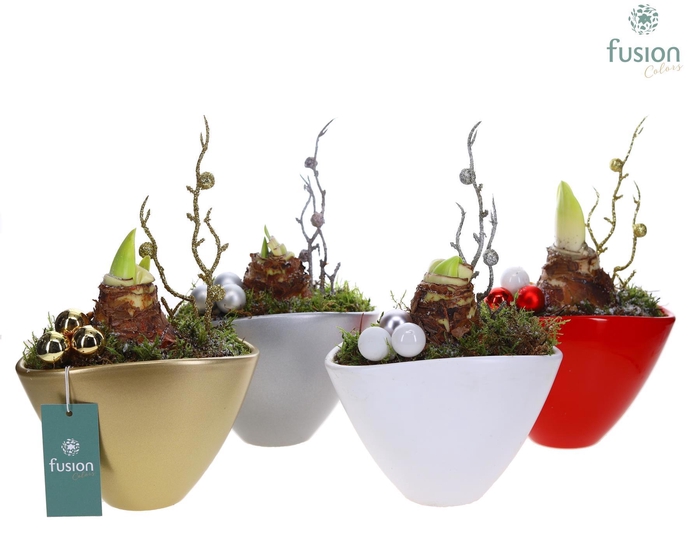 <h4>Kerst keramiek met Amaryllis</h4>