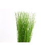 Berk Klb Green