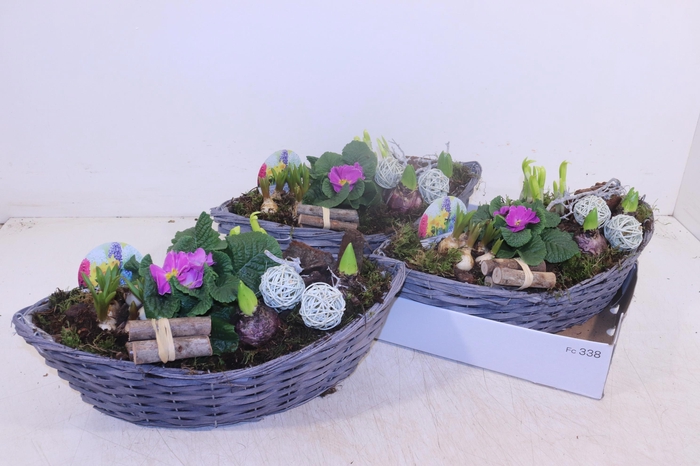 <h4>ARR TUINPLANTEN</h4>