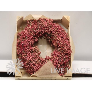 Wreath schninus mollis