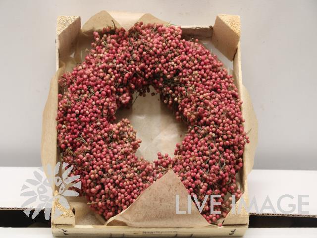 <h4>Wreath schninus mollis</h4>