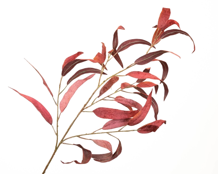 <h4>Eucalyptus Velvet Bordeaux</h4>