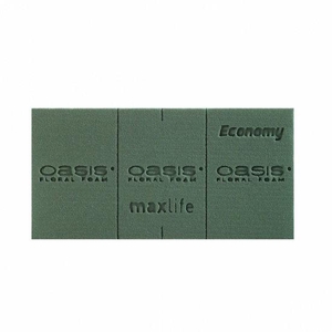 Oasis Block Economy 20x10x7cm