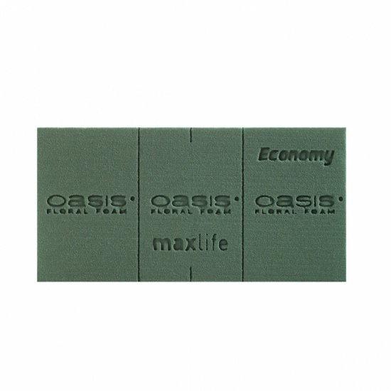 <h4>Oasis Block Economy 20x10x7cm</h4>