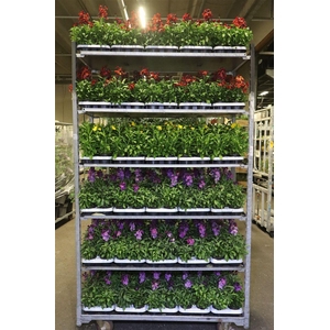 Erys Mixk 1 Kleur Per Tray