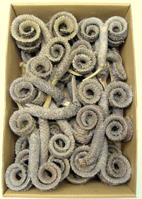 <h4>K.PALM MULE RING X30</h4>
