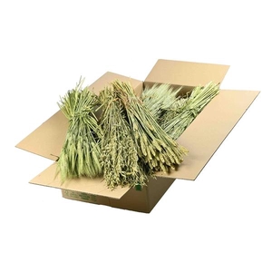 Mix Box Getreide / Grasses / Granen Natural Green