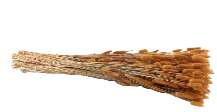 <h4>DROOGBL BEWERKT H%</h4>