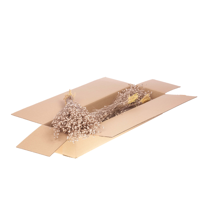 <h4>Linum Sb Warm Gold</h4>