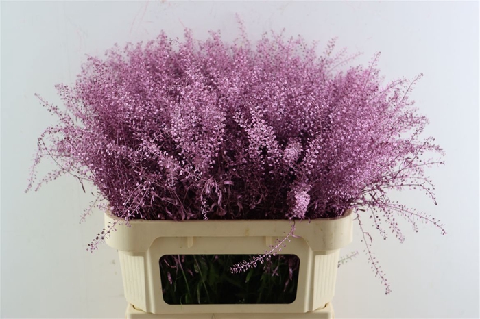 <h4>Lep Klbh Metallic Pink</h4>