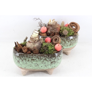 arr4 Amaryllis MB - Luxe ovaal pootjes x4 red