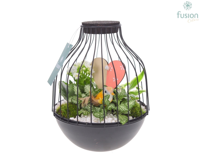 <h4>Vogelkooi metaal zwart Medium Love met arrangement</h4>