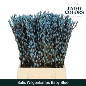 Salix Katjes L50 Baby blue