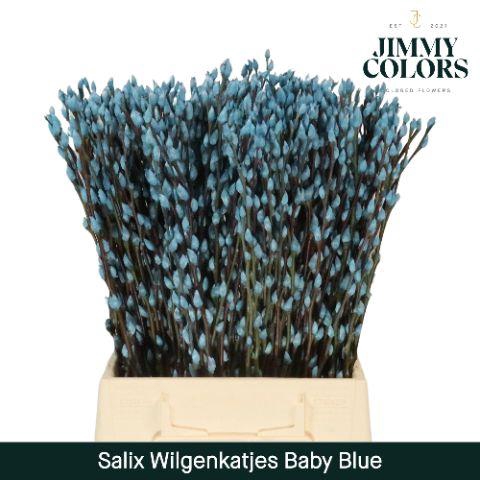 <h4>Salix Katjes L50 Baby blue</h4>