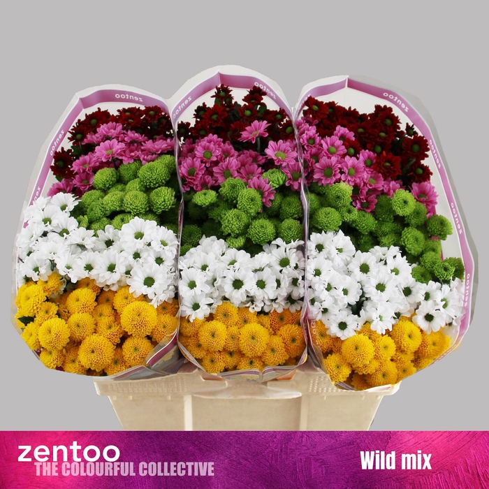 <h4>Chr S Mix Wild 1200gr</h4>