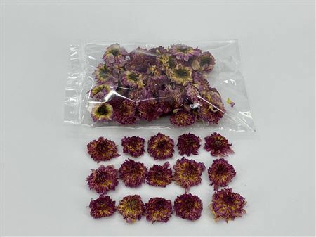 Dried Dahlia Heads Lilac Bag (50-60 Heads)