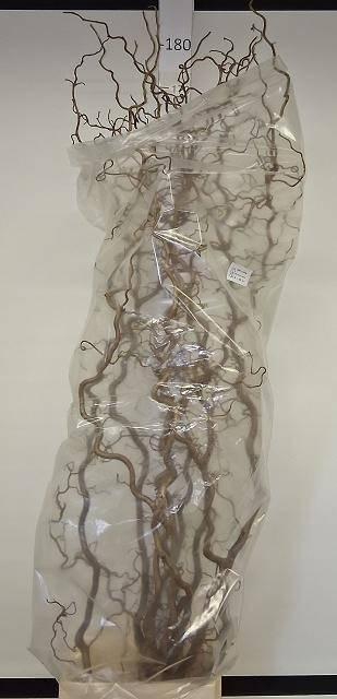 <h4>CORYL AV CONTORTA 180 CM =18=</h4>