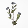 AF Viburnum Berry Sp L76cm Blu