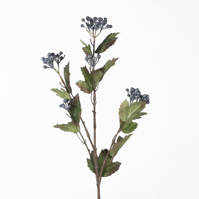 <h4>Af Viburnum Berry Sp L76cm Blu</h4>