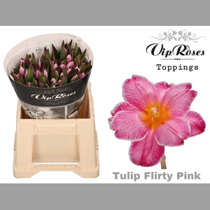 TU EN A FLIRTY PINK