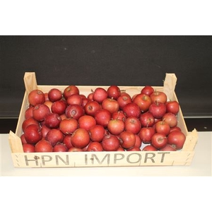 F- Appel Rood 5kg