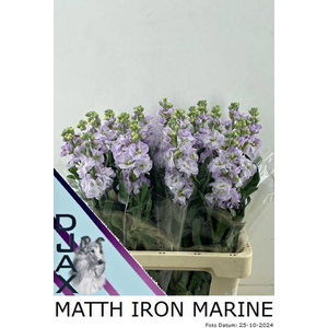 MATTH IRON MARINE