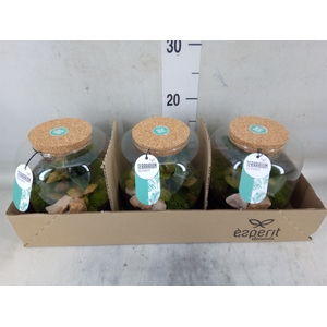 Arr.    Planten  H%