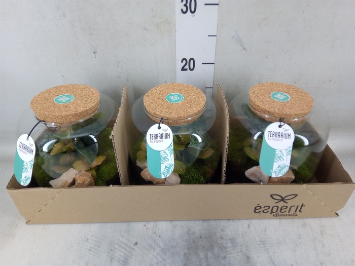 <h4>Arr.    Planten  H%</h4>