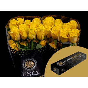 R GR Goldfinch Box