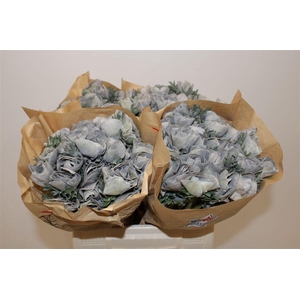 Anem Marianne Powder Grey