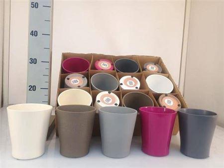 <h4>Deco Pot H% Mix</h4>