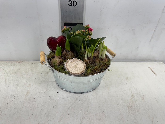 <h4>ARR PL IN SCHAAL</h4>