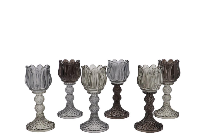 <h4>Bicolore Black Bloom T-light Ass 8x18cm Nm</h4>