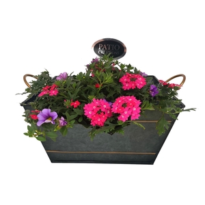 Arr.   Perkplanten H%