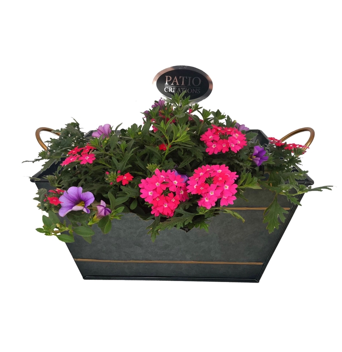 <h4>Arr.   Perkplanten H%</h4>