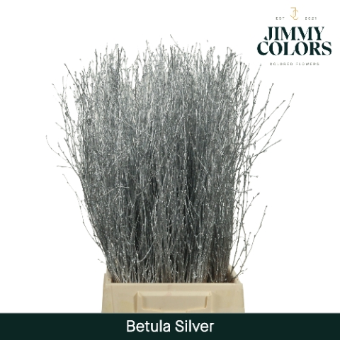 <h4>Betula L60 Mtlc. Silver</h4>