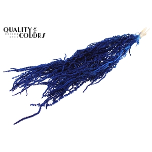 Hang Amaranthus ±70cm Preserved per bunch Bleached Blue