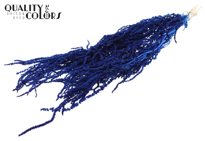 <h4>Hang Amaranthus ±70cm Preserved per bunch Bleached Blue</h4>
