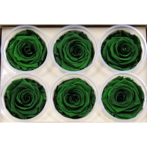 R Prs Green Exquisite