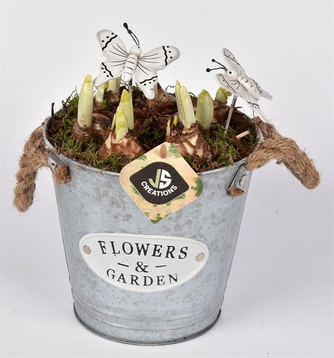 <h4>Zink emmer Flower & Garden 16 cm</h4>