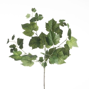 AF Grape Leaf Spray L76cm Gre