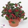 Collectie Hanoi Gaultheria Big Berry in Mand 30 cm