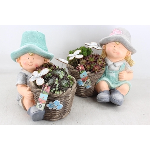 arr4 Semp JS - Girl and boy L 335/2