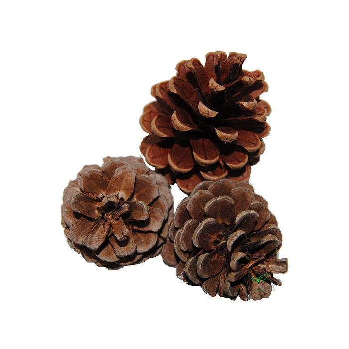 <h4>DENAPPEL OOSTENRIJKERS 6cm NATUREL 5KG</h4>
