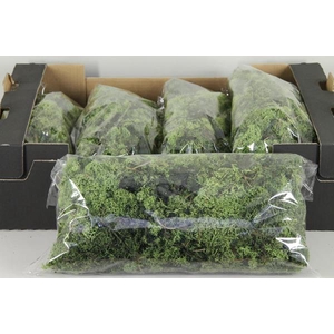 Moss Icelandic 500gr D.green