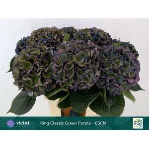 HYDR M ROYAL KING CL
