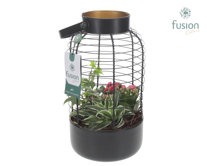 <h4>Lantaarn metaal met arrangement</h4>