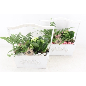 arr2 PL - Hengsel kist white 401/4 - roze/wit