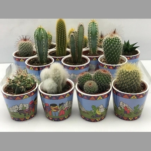 CACTUS GEM