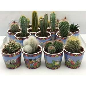 CACTUS GEM
